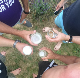 Vrienden klinken met bier in het gras